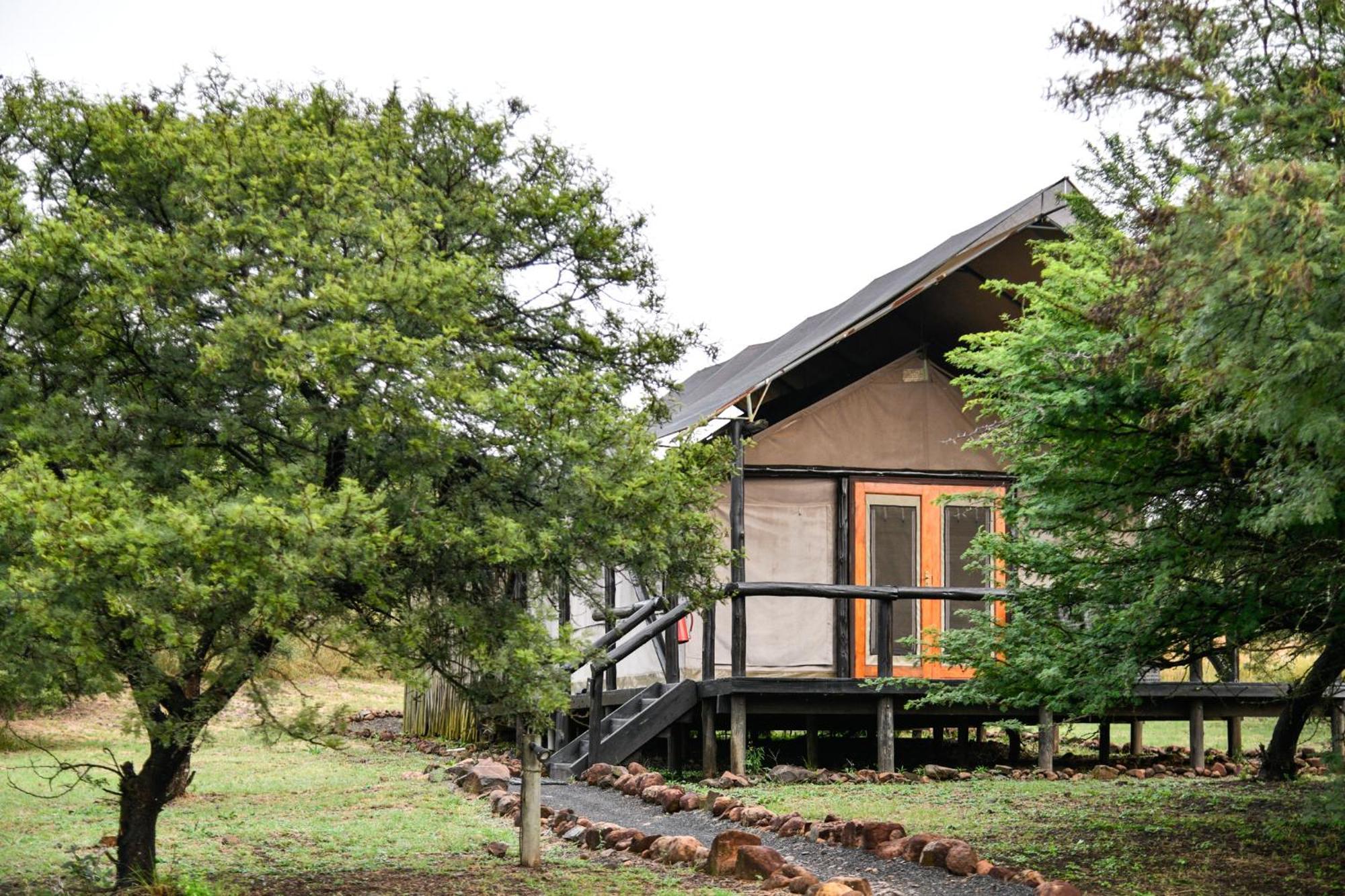 The Springbok Lodge Ladysmith Esterno foto