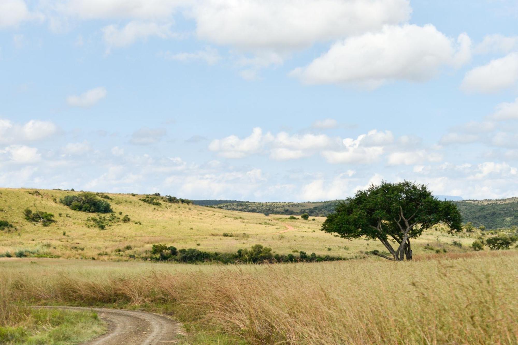 The Springbok Lodge Ladysmith Esterno foto